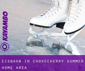 Eisbahn in Chokecherry Summer Home Area