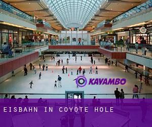 Eisbahn in Coyote Hole