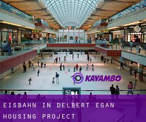 Eisbahn in Delbert Egan Housing Project