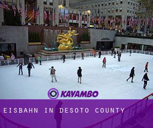 Eisbahn in DeSoto County Eisbahn in DeSoto County