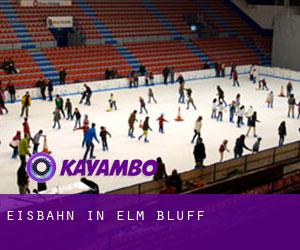 Eisbahn in Elm Bluff