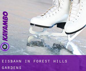 Eisbahn in Forest Hills Gardens