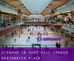 Eisbahn in Fort Hill Census Designated Place