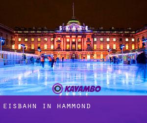 Eisbahn in Hammond Eisbahn in Hammond