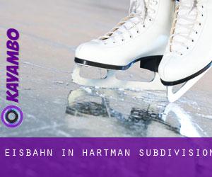 Eisbahn in Hartman Subdivision
