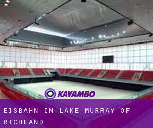 Eisbahn in Lake Murray of Richland