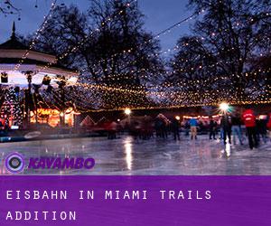 Eisbahn in Miami Trails Addition
