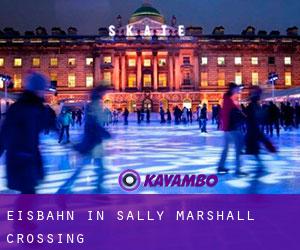 Eisbahn in Sally Marshall Crossing