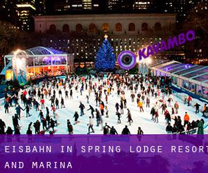 Eisbahn in Spring Lodge Resort and Marina