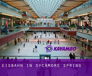 Eisbahn in Sycamore Spring