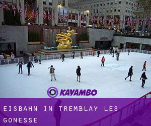 Eisbahn in Tremblay-les-Gonesse