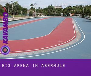 Eis-Arena in Abermule