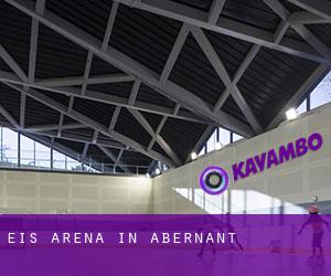 Eis-Arena in Abernant
