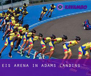 Eis-Arena in Adams Landing