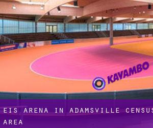 Eis-Arena in Adamsville (census area)