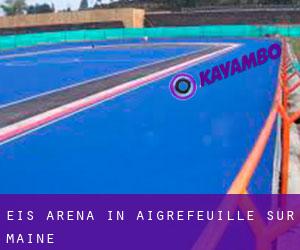 Eis-Arena in Aigrefeuille-sur-Maine