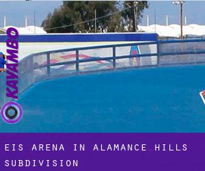 Eis-Arena in Alamance Hills Subdivision