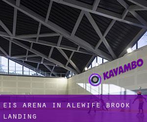 Eis-Arena in Alewife Brook Landing