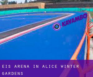 Eis-Arena in Alice Winter Gardens