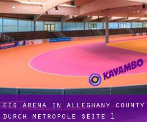 Eis-Arena in Alleghany County durch metropole - Seite 1
