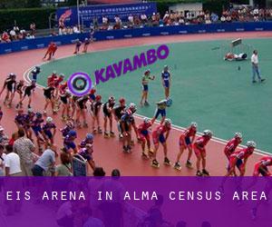 Eis-Arena in Alma (census area)