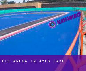 Eis-Arena in Ames Lake