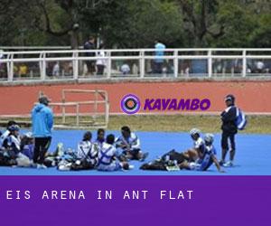 Eis-Arena in Ant Flat