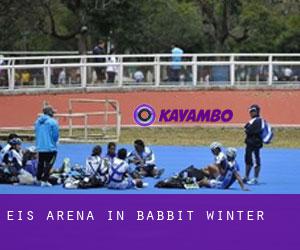 Eis-Arena in Babbit Winter