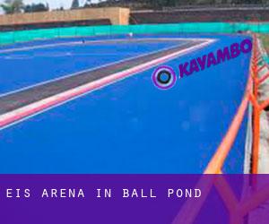 Eis-Arena in Ball Pond
