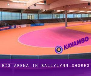 Eis-Arena in Ballylynn Shores
