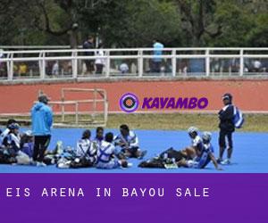Eis-Arena in Bayou Sale
