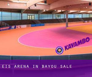 Eis-Arena in Bayou Sale