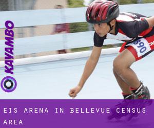 Eis-Arena in Bellevue (census area)