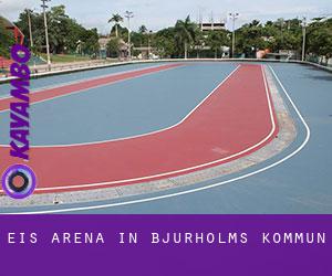 Eis-Arena in Bjurholms Kommun