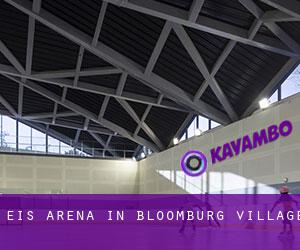 Eis-Arena in Bloomburg Village