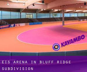Eis-Arena in Bluff Ridge Subdivision