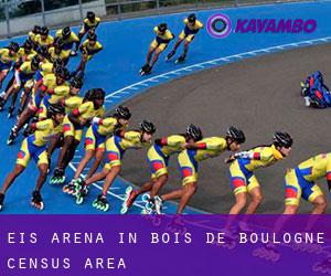 Eis-Arena in Bois-de-Boulogne (census area)