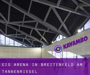 Eis-Arena in Breitenfeld am Tannenriegel