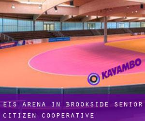 Eis-Arena in Brookside Senior Citizen Cooperative