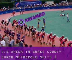 Eis-Arena in Burke County durch metropole - Seite 1