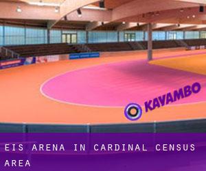 Eis-Arena in Cardinal (census area)