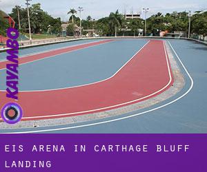 Eis-Arena in Carthage Bluff Landing