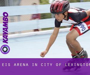 Eis-Arena in City of Lexington