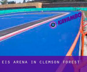 Eis-Arena in Clemson Forest