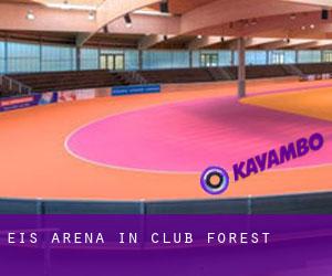Eis-Arena in Club Forest