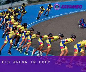 Eis-Arena in Coey