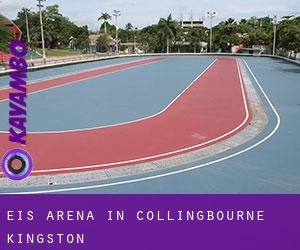 Eis-Arena in Collingbourne Kingston