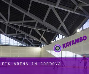 Eis-Arena in Cordova