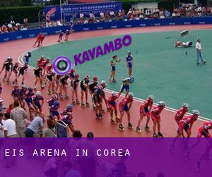 Eis-Arena in Corea