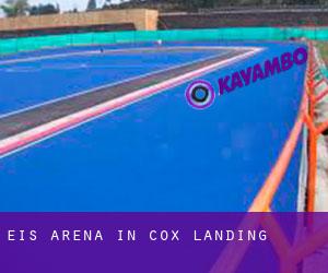 Eis-Arena in Cox Landing